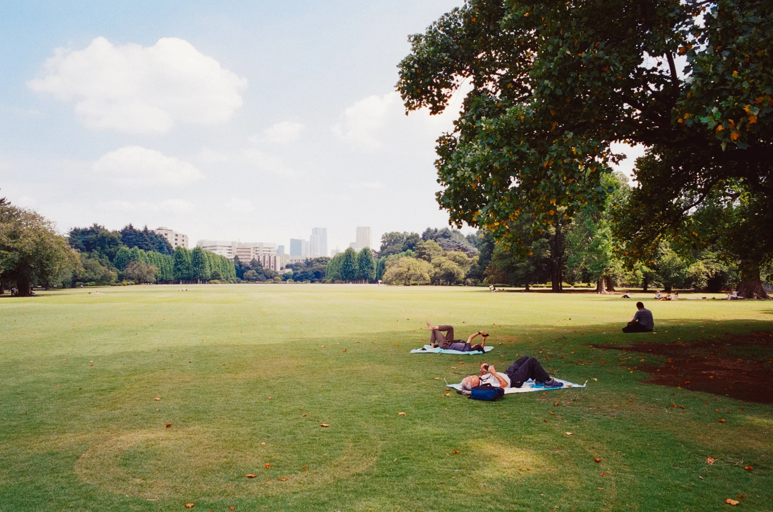 20250826-kodak_800_c_41_36938_101672_227245_002278940029 copy.jpg