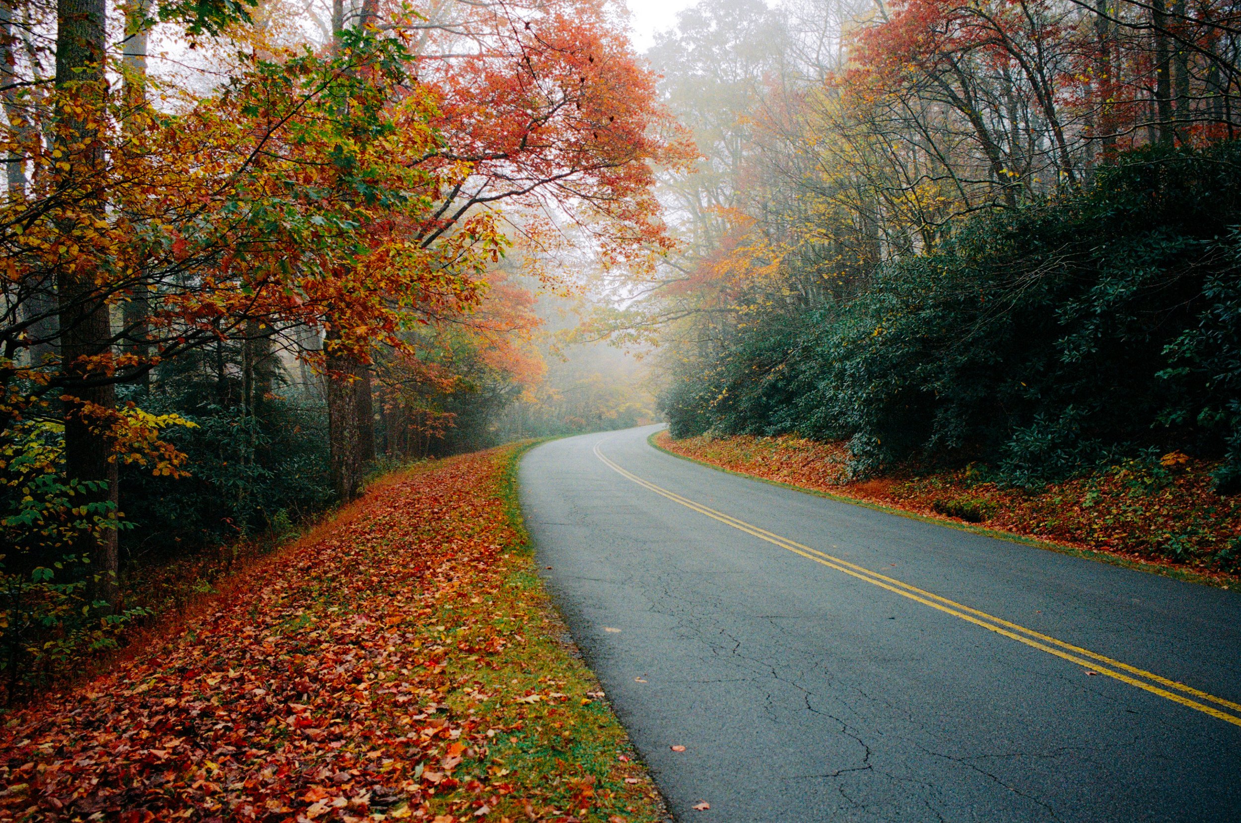 20251028-kodak_800_c_41_36938_109642_247715_000007150024 copy.jpg