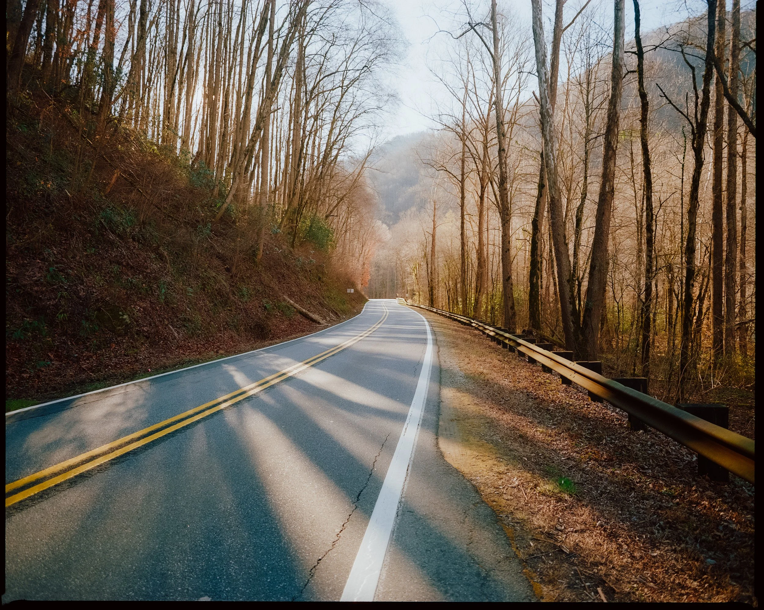 000004000007 copy.jpg