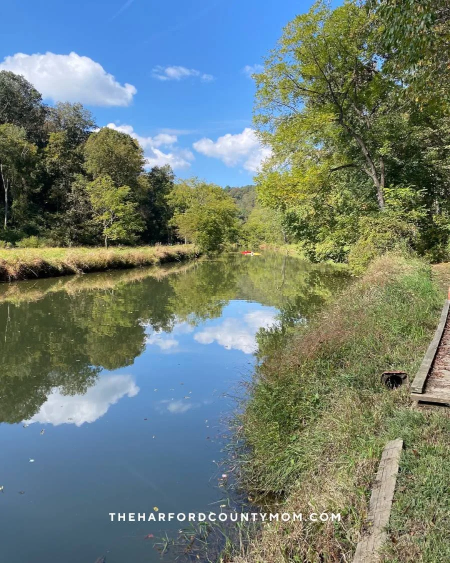 Full, green trees line Deer Creek along the Eden Mill Park Trail in Pylesville, Maryland