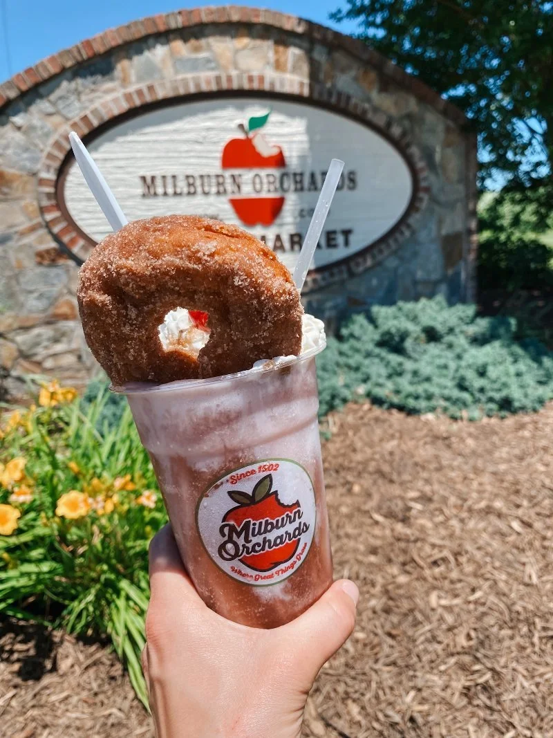 apple cider donut and slushie from milburn orchards in cecil county, maryland
