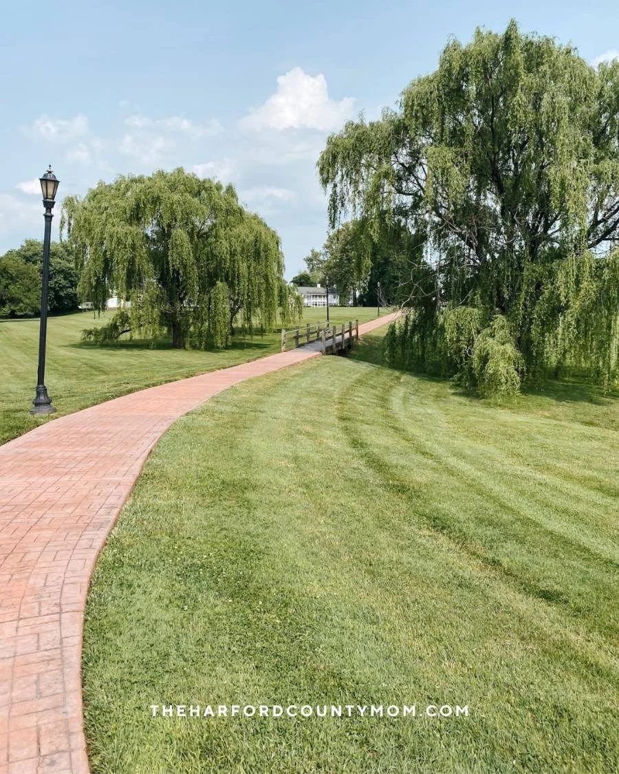 Manicured grass and a brick trail with lamp posts along it with weeping willow trees lining the Swan Harbor trail in Havre de Grace, Maryland