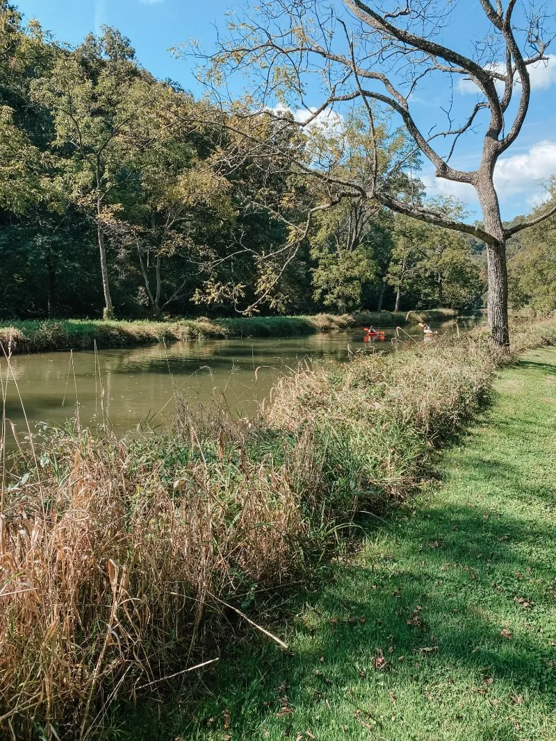 Eden-Mill-Hiking-Trail.jpeg