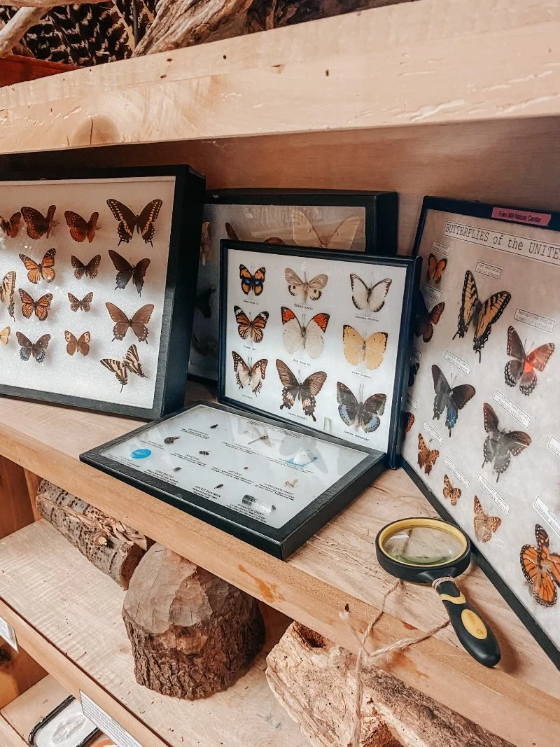 Eden-Mill-Butterfly-Harford-County-Maryland.jpeg