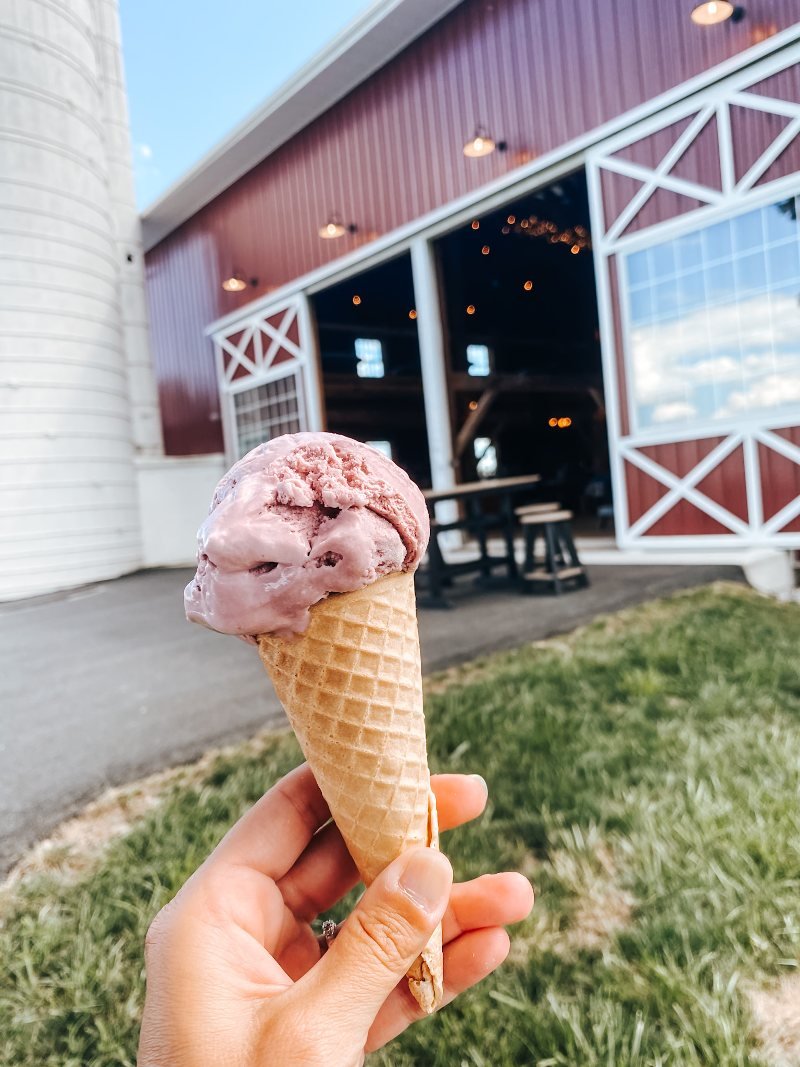 processed_ice cream at svf.jpeg