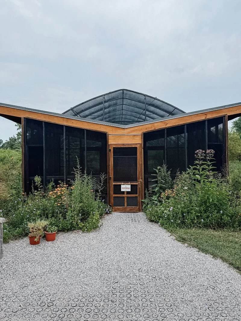 A Visit to Ladew Topiary Gardens: One of Maryland’s Most Beautiful Day Trips