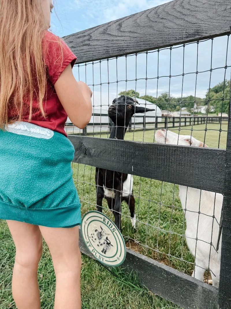 Sunny Dreams Farm: Family-Owned and Rooted in the Heart of Bel Air, MD