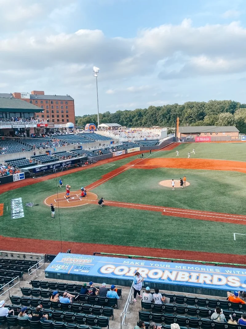 a photo of the field at an aberdeen ironbirds baseball game at ripken stadium in harford county, maryland