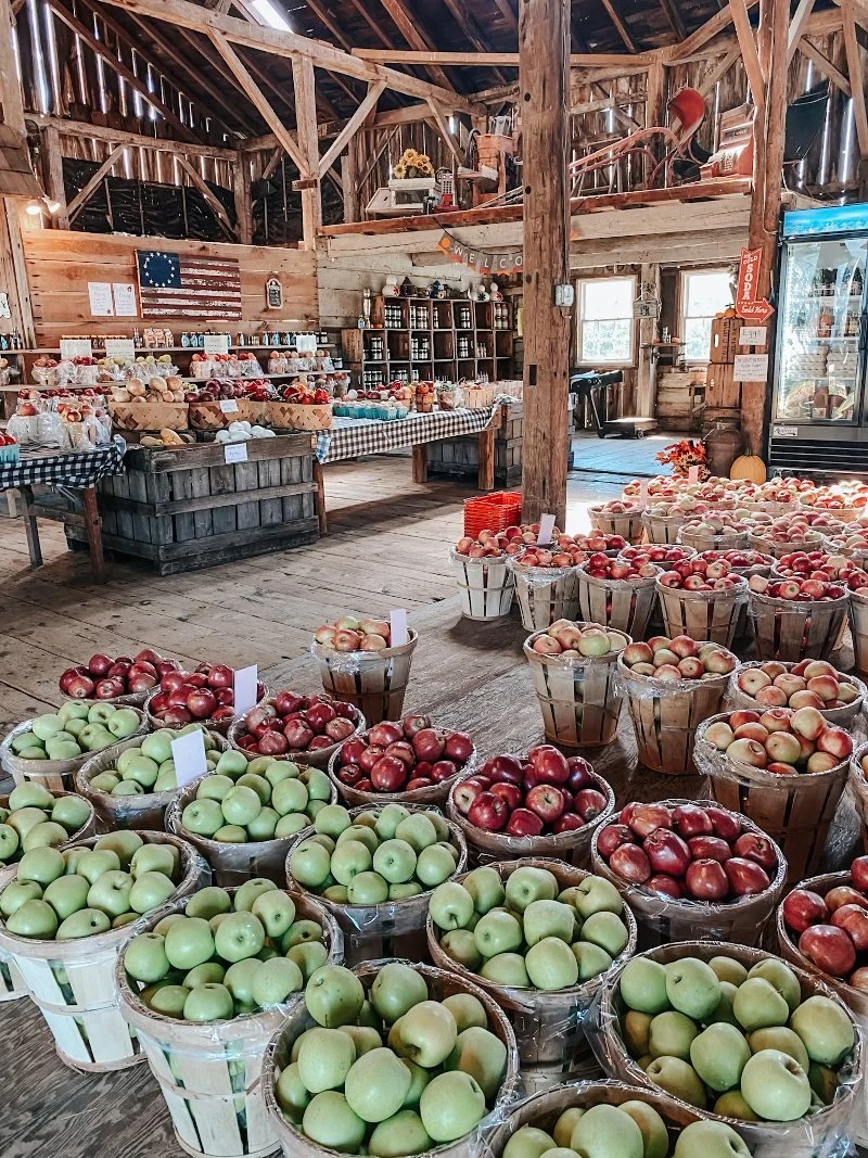 market filled with apples at susquehanna orchards in delta pennsylvania