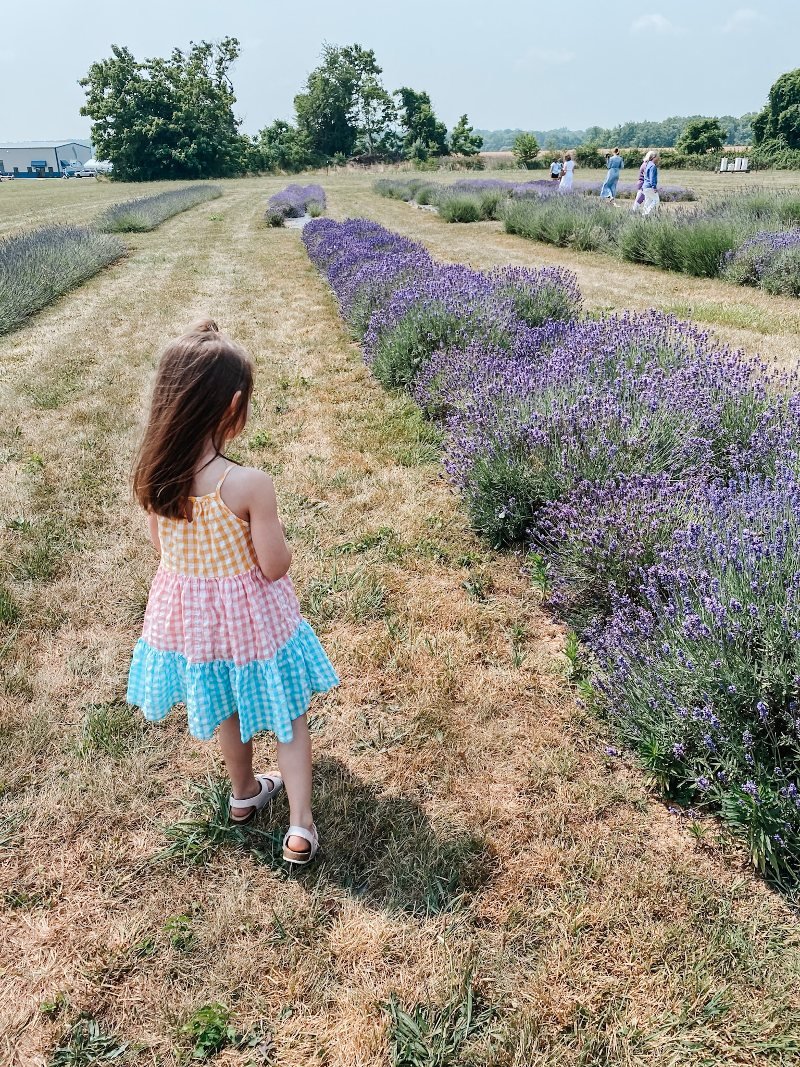 girl walking through a lavender field in churchville maryland