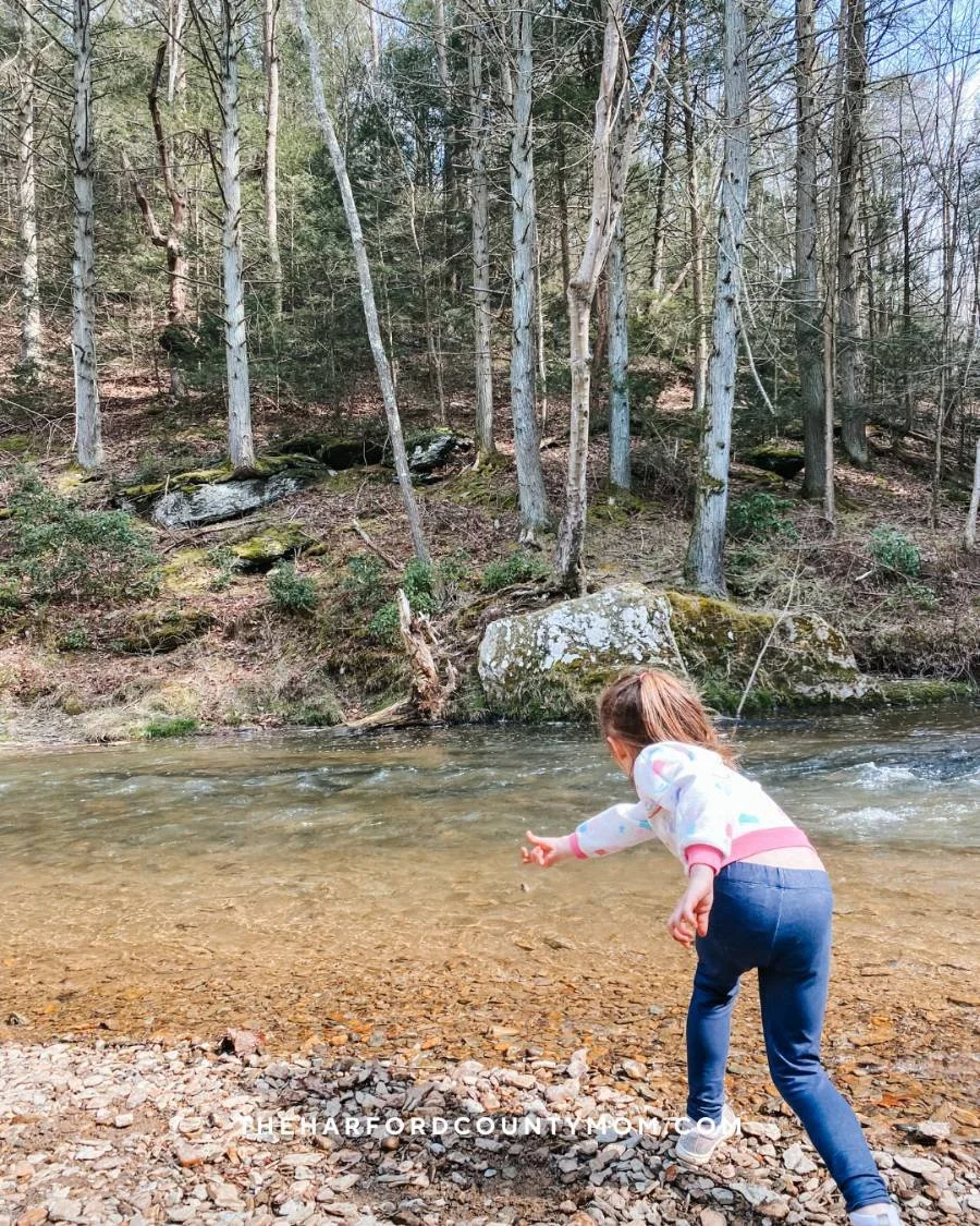 Girl throws stones into shallow creek along Hidden Valley Trail in White Hall, Maryland