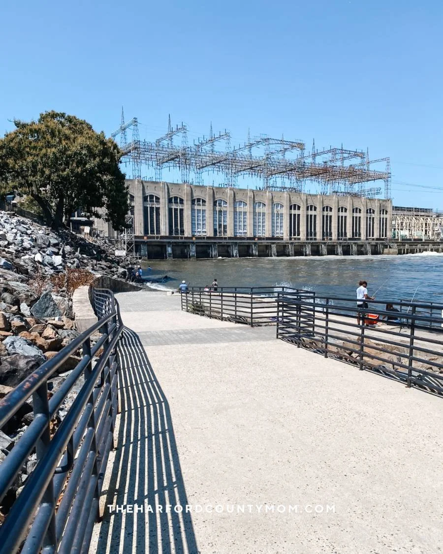 Fisherman's Park Trail in Darlington, Maryland shows the Conowingo Dam which is a fantastic spot to view bald eagles in Maryland