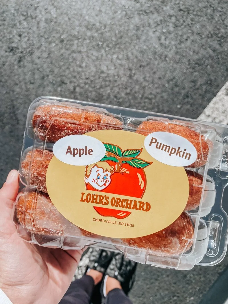 A package of delicious apple and pumpkin donuts from Lohr's Orchard in Churchville, MD -- the perfect place to visit a pumpkin patch, pick apples, and enjoy fall family fun near Bel Air, MD