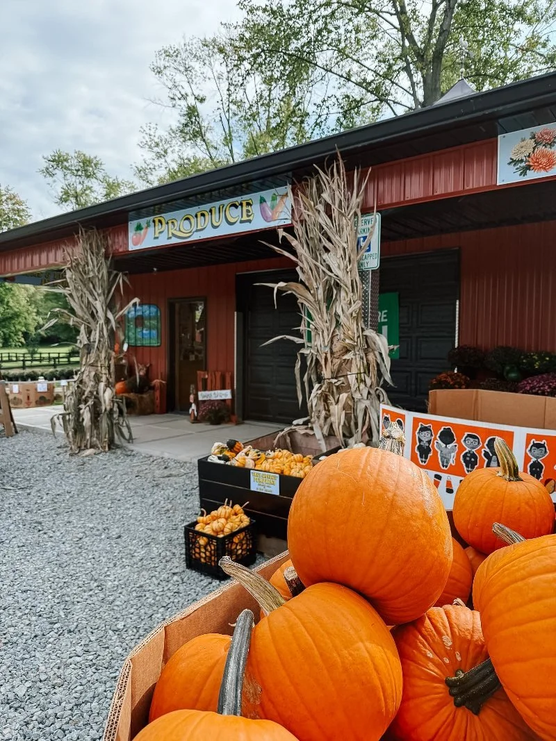 farm stand at sunny dreams farm in bel air maryland