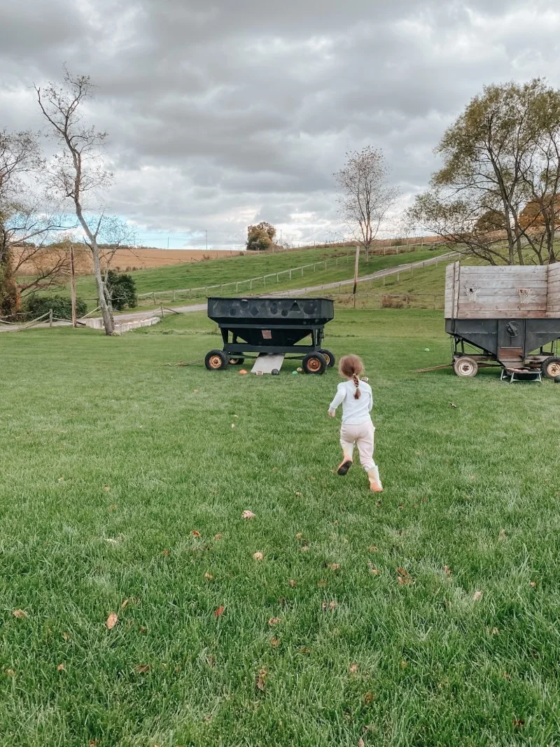 A young girl runs towards one of the many kids activities at Maple Border Farm in White Hall, MD