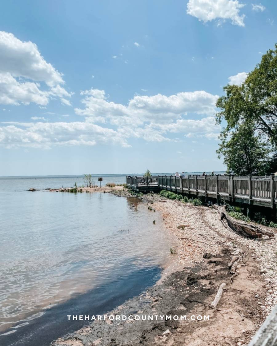 Summery blue skies and some clouds above the water's edge and boardwalk of The Promenade trail in Havre de Grace, Maryland. Perfect for a gorgeous, scenic walk