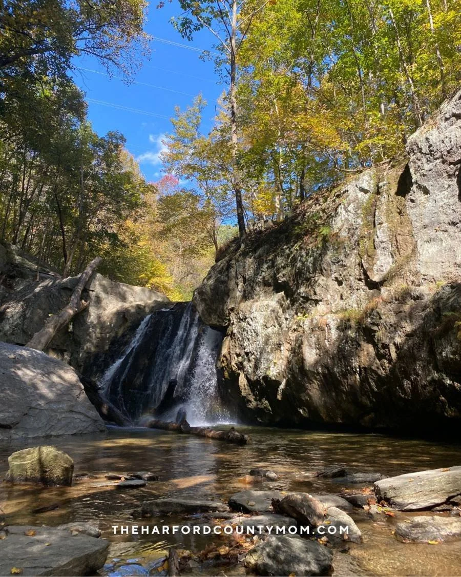 This is the waterfall at Kilgore Falls in Pylesville, MD. A small, rocky waterfall with trees at the top to provide shade on a hot summer day. You can swim in the shallow, rocky pool below.