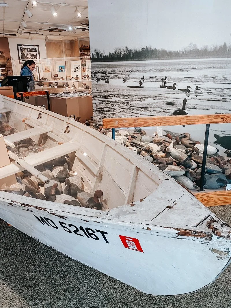 boat and decoy display at the decoy museum in havre de grace md