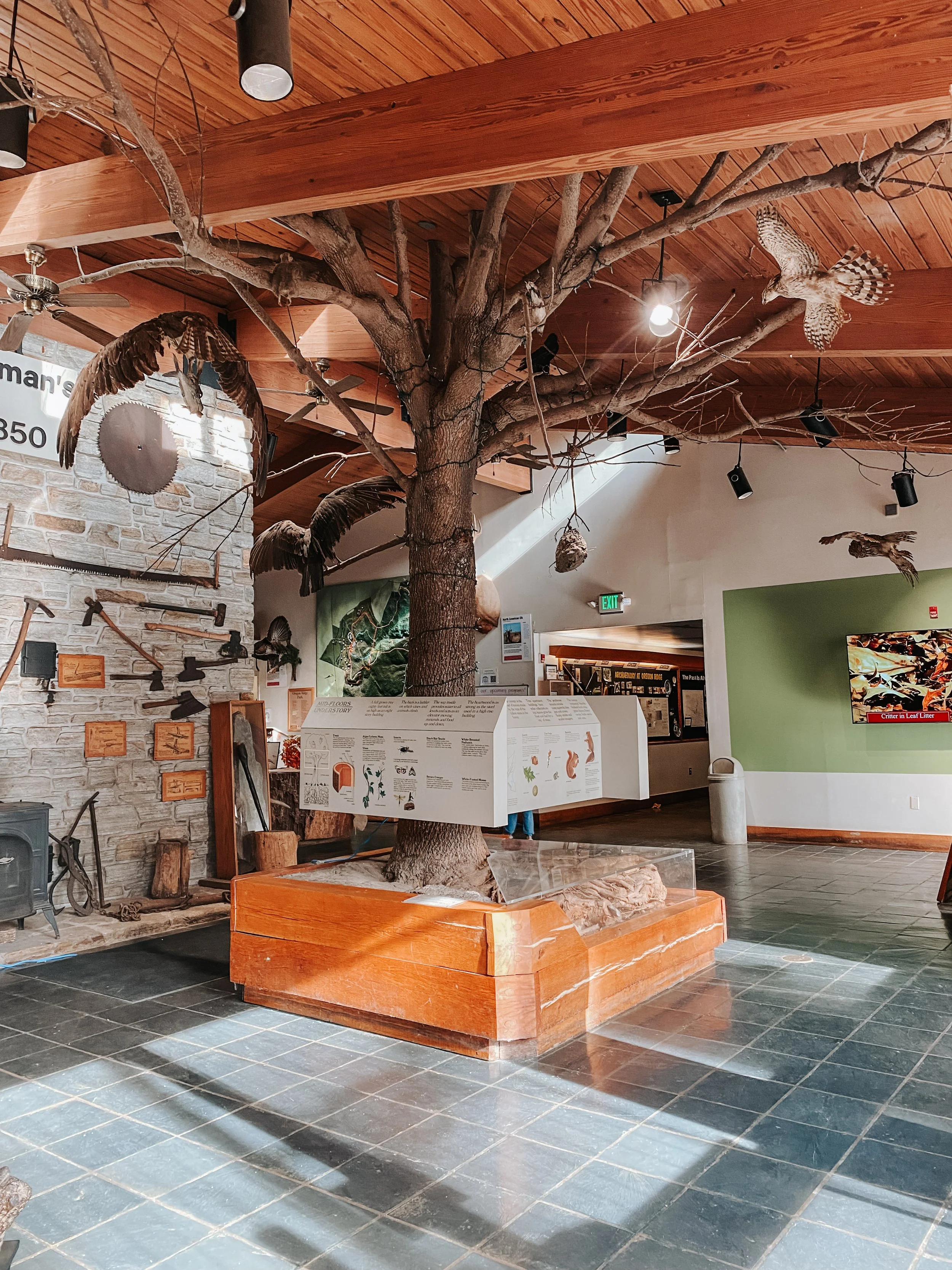 Main section of the indoor Oregon Ridge Nature Center in Baltimore County, MD
