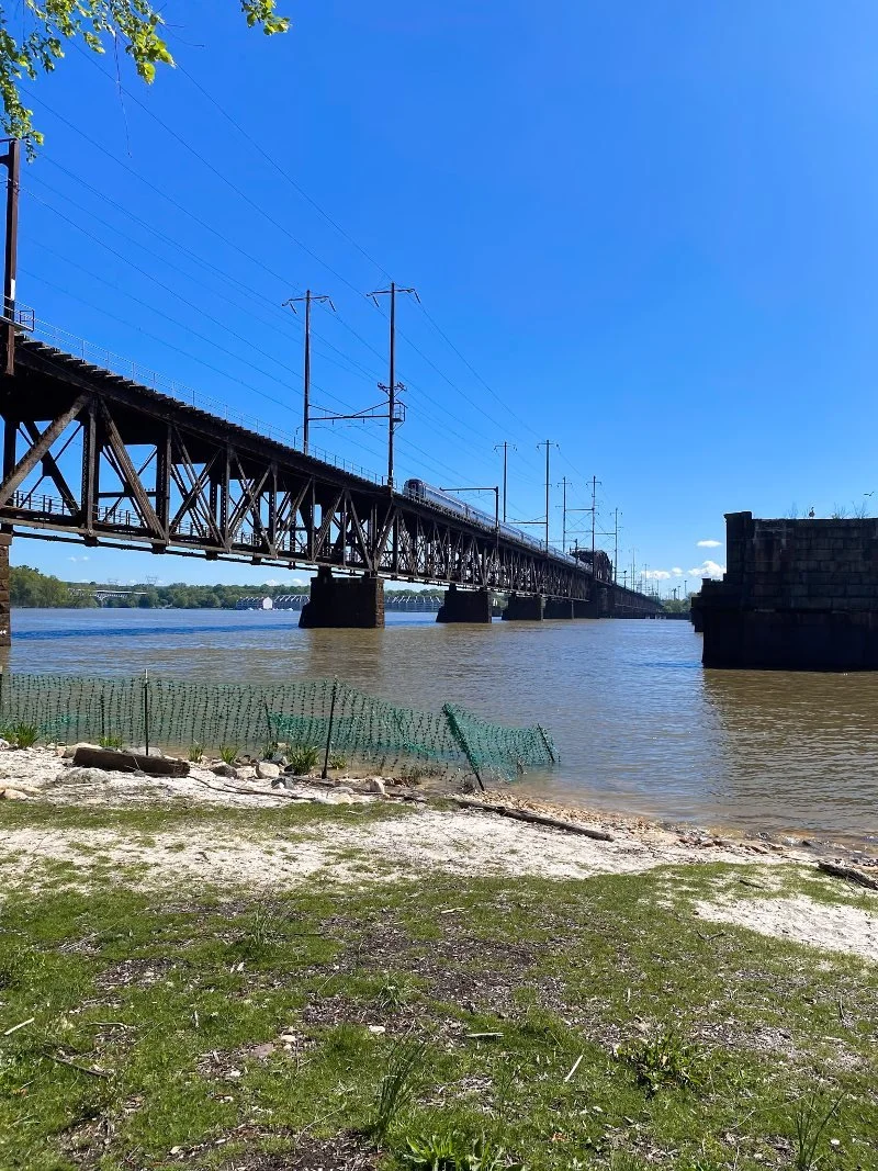 amtrak train passing over a bridge at david r. craig park in havre de grace maryland