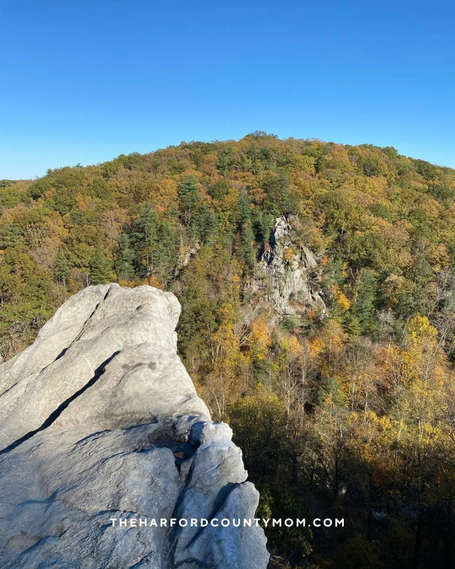 image taken on top of elevated rocky structure at Rocks State Park trail in Jarrettsville, Maryland