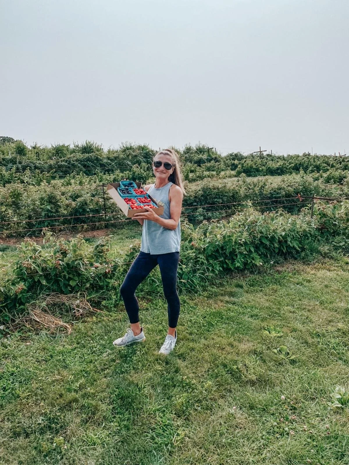 Ange holds up a box full of ripe berries showcasing the incredible produce at Shaw's Orchard in White Hall, Maryland