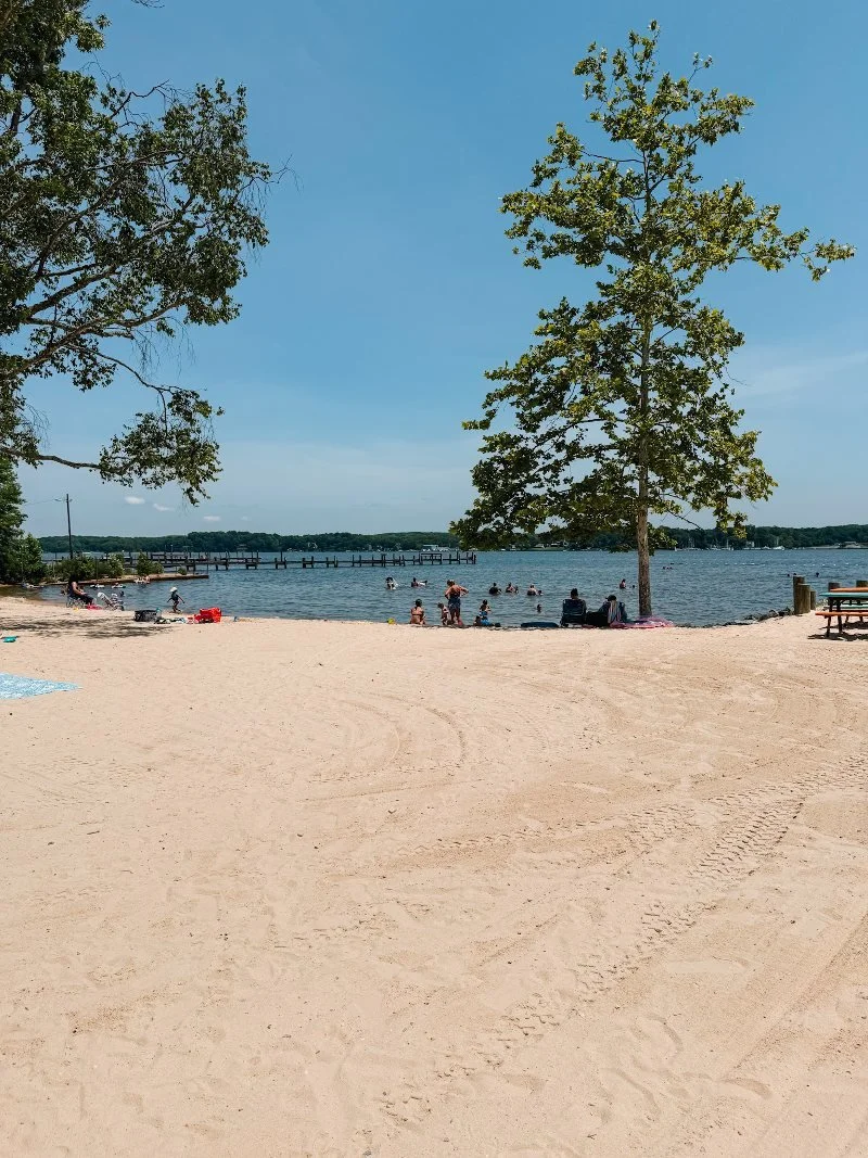 beach overlooking the water at charlestown manor beach in cecil county maryland
