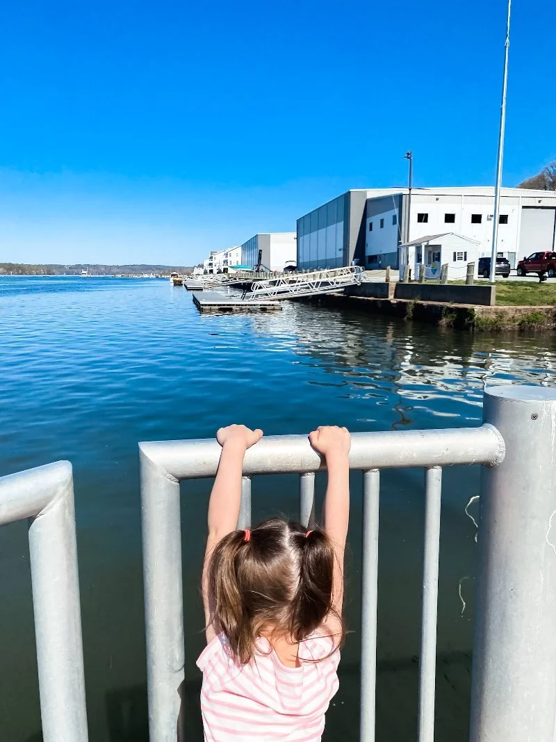 girl overlooking tomes marina at the marina park in cecil county maryland