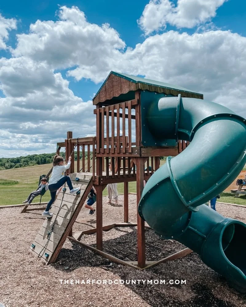 Green tube slide at outdoor playground at Falling Branch Brewery in Street, Maryland is a great place for kids to play while parents enjoy a beer