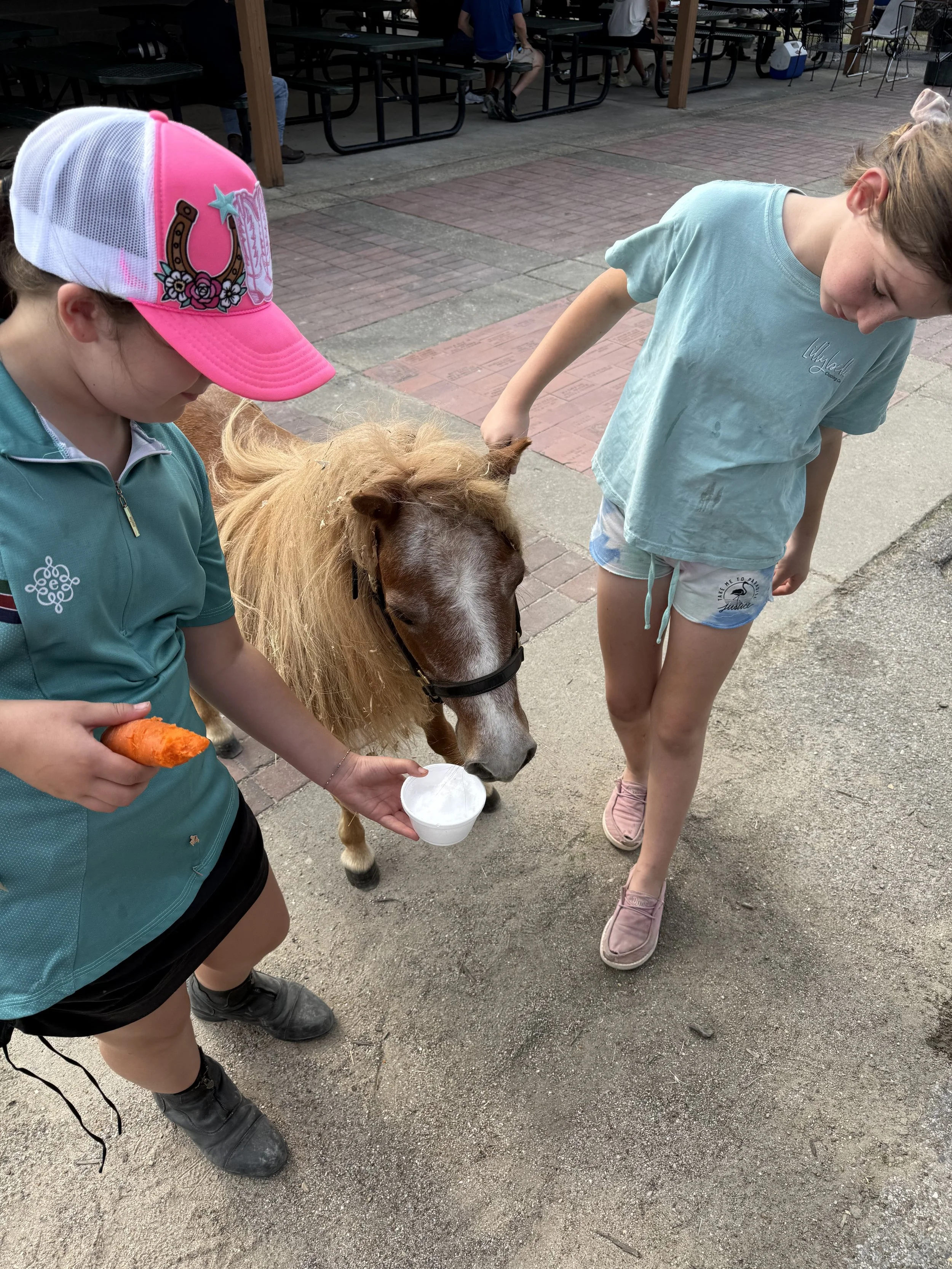 Two young girls are feeding a small horse or pony with a bowl of ice cream, standing on a dirt or gravel surface outside near picnic tables.