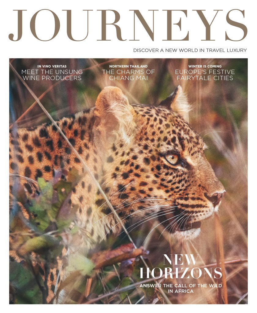 Cover of Journeys magazine featuring a close-up of a leopard in the wild, with the headline "New Horizons" and subtitles about travel and wildlife in Africa.