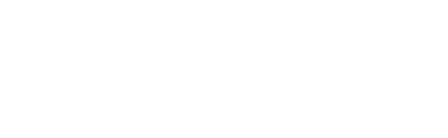 Mandate - Dealership Performance Control