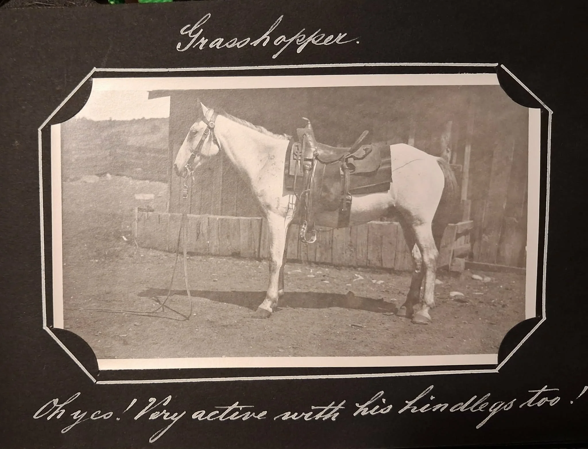 Messenger_creation_6D9BD005-FC36-4A0E-B236-700C6BBF3DF9.jpeg