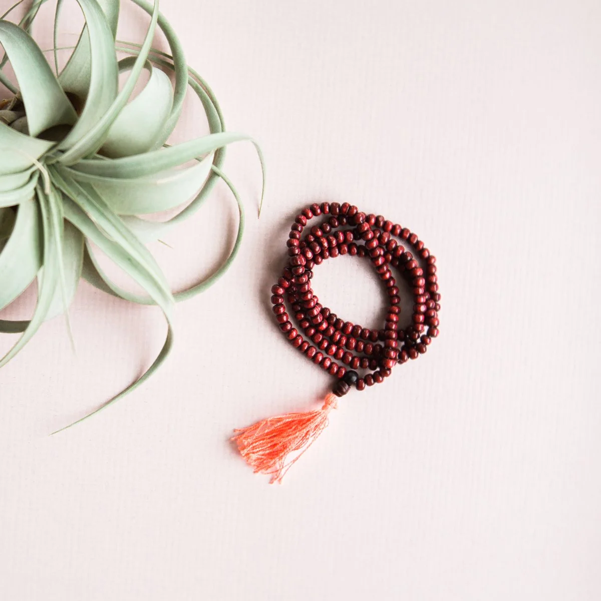 A potted succulent plant with long, pointed green leaves on a light pink background, next to a red beaded mala necklace with a tassel.