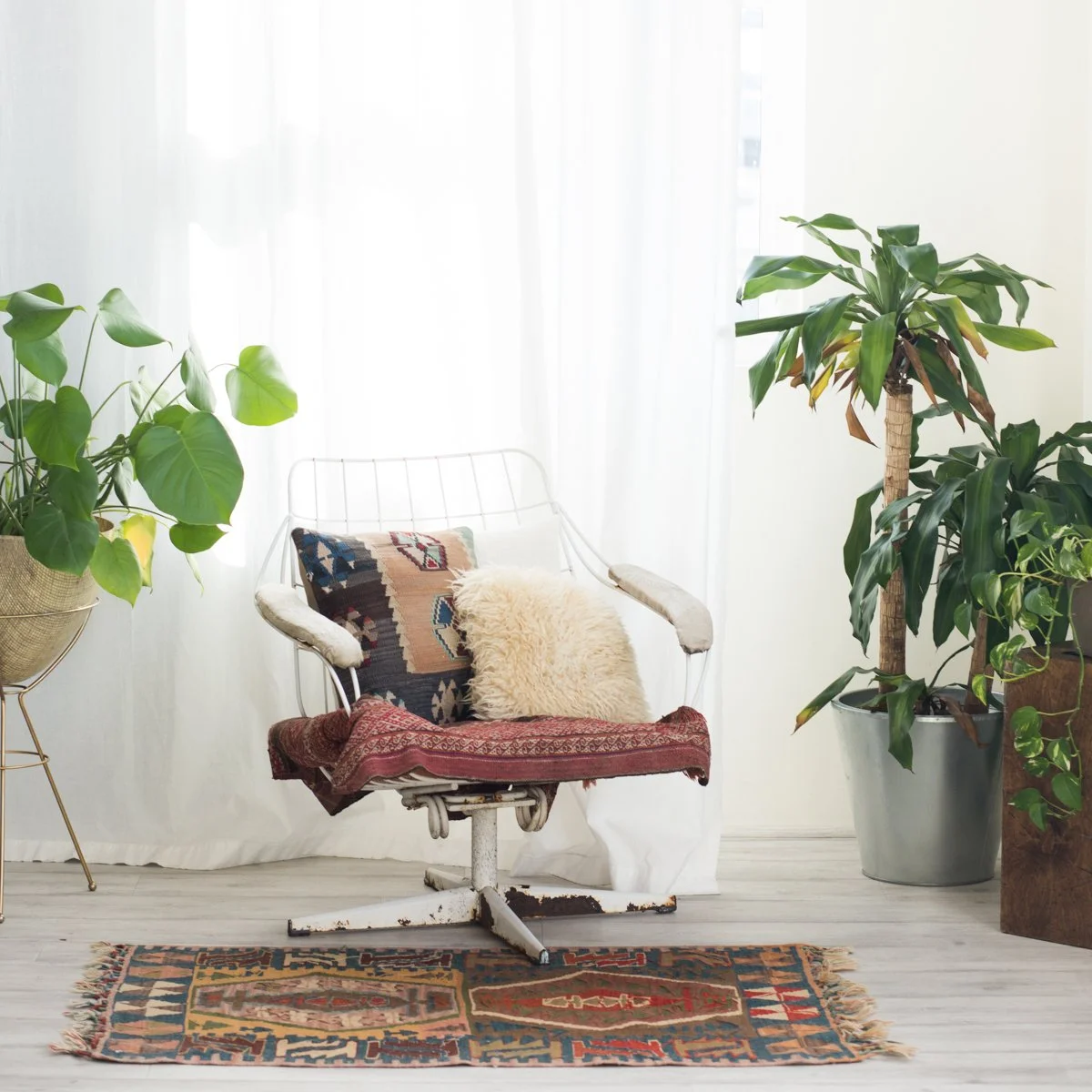 A cozy corner with a vintage white metal chair, a multicolored pillow, and a fluffy cream pillow, surrounded by lush green indoor plants, with white curtains in the background and a patterned rug on the floor.