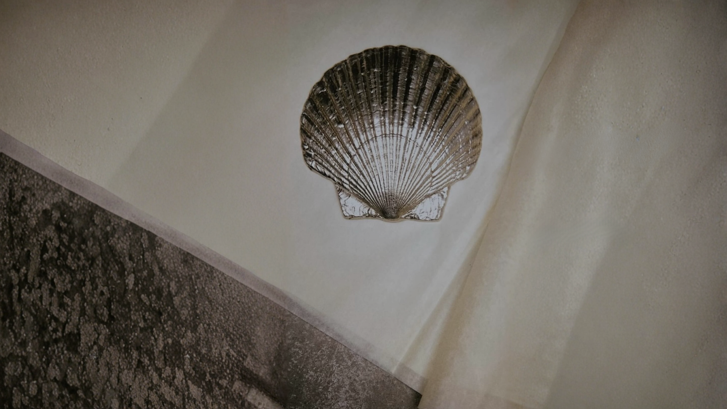 Dj Night + Booty Pump