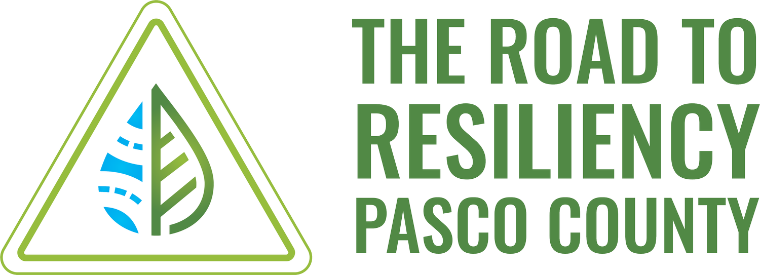 The Road To Resiliency Pasco County