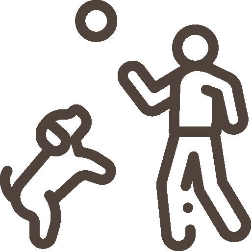 Line drawing of a person throwing a frisbee with a dog chasing it.