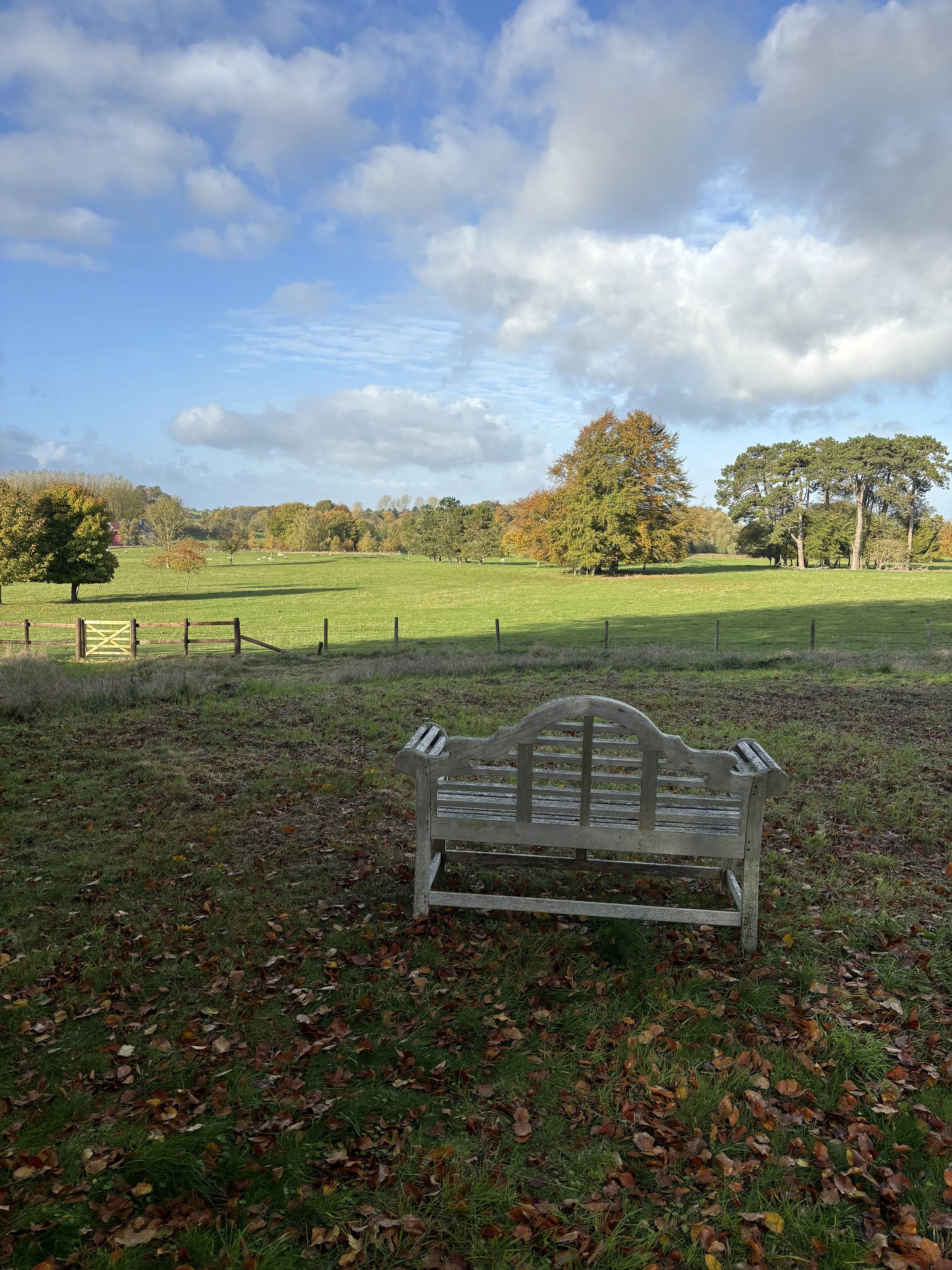 An empty wooden park bench in the foreground with a grassy field, trees, and a partly cloudy sky in the background.