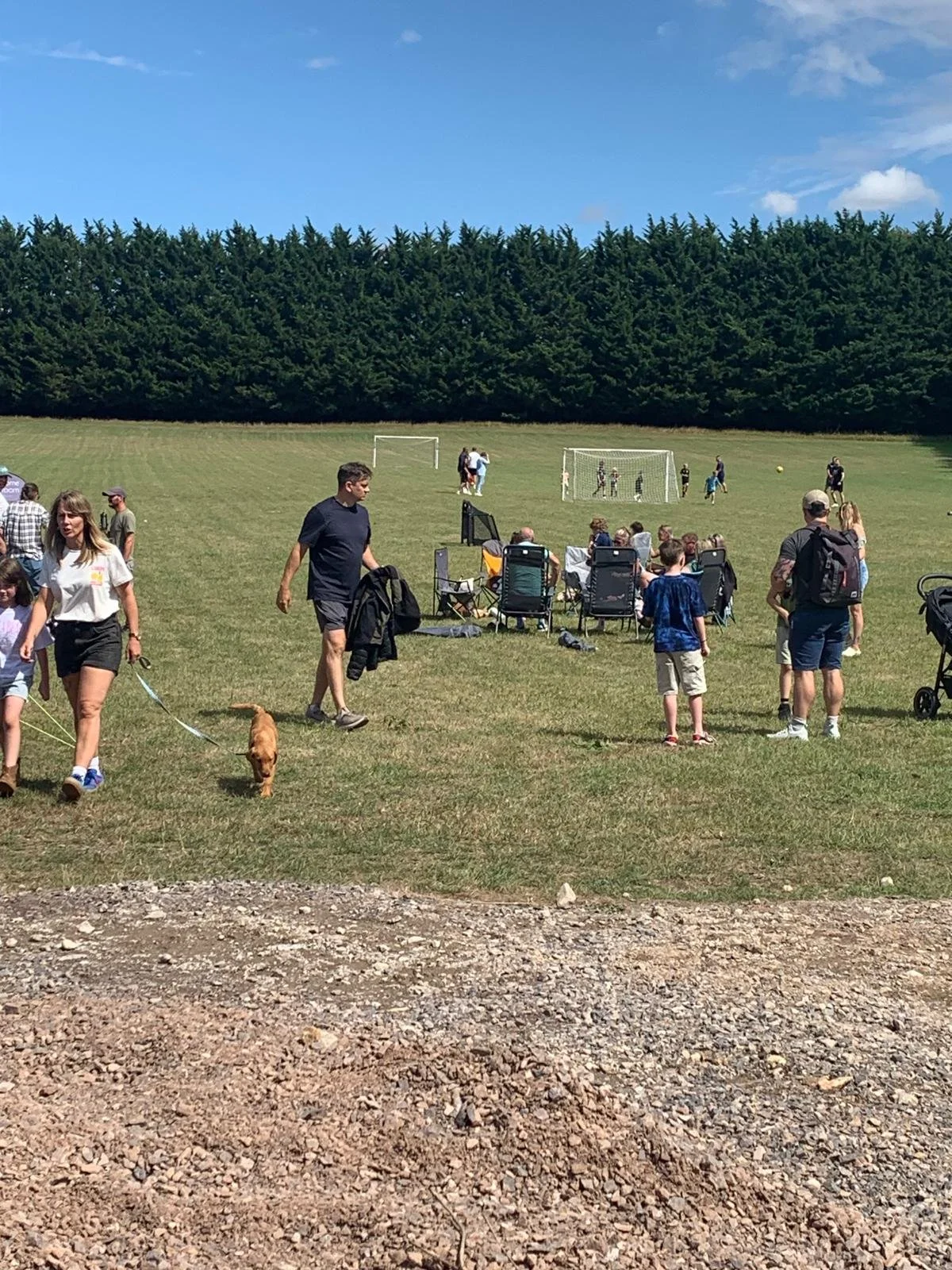 People gathered at a park with a grassy field, children playing and adults walking, some seated and others standing, in a sunny day with a clear blue sky and trees in the background.