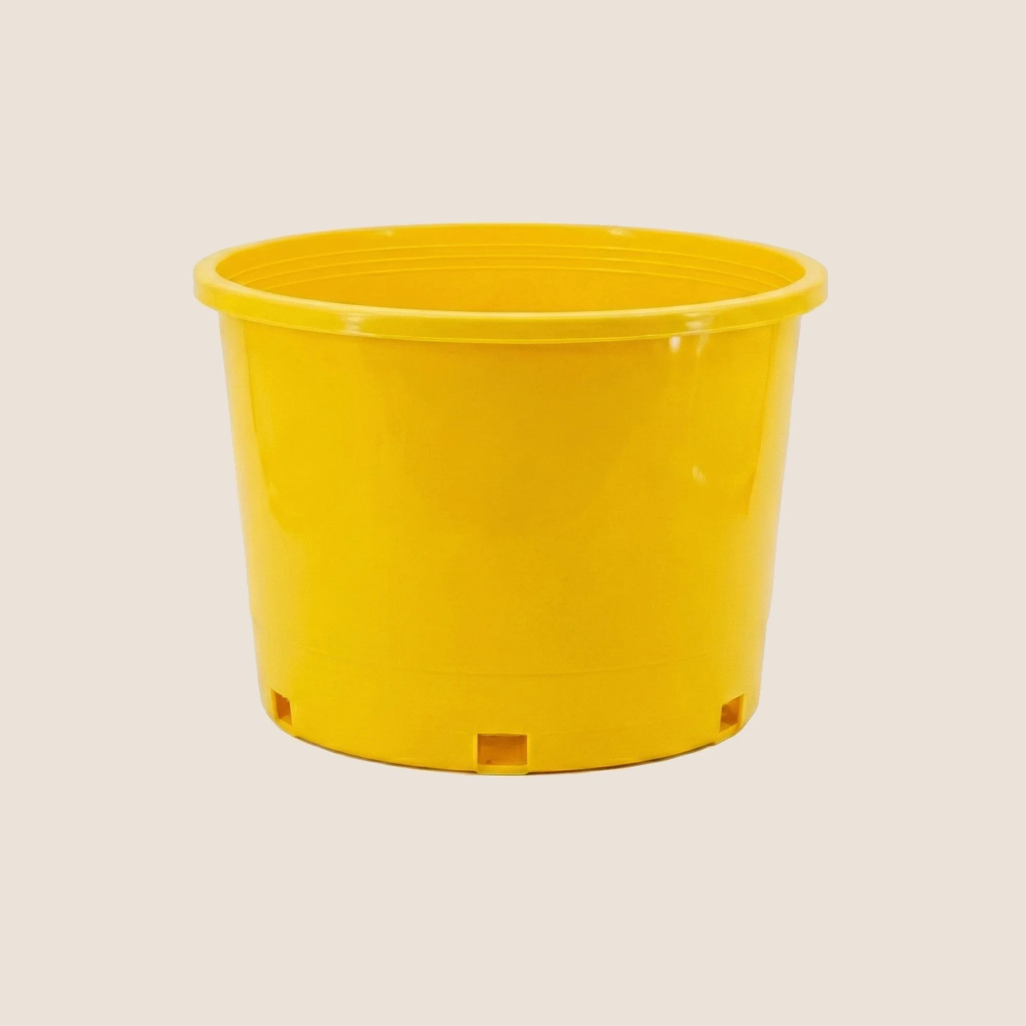 10gal-s-yellow.png.jpg