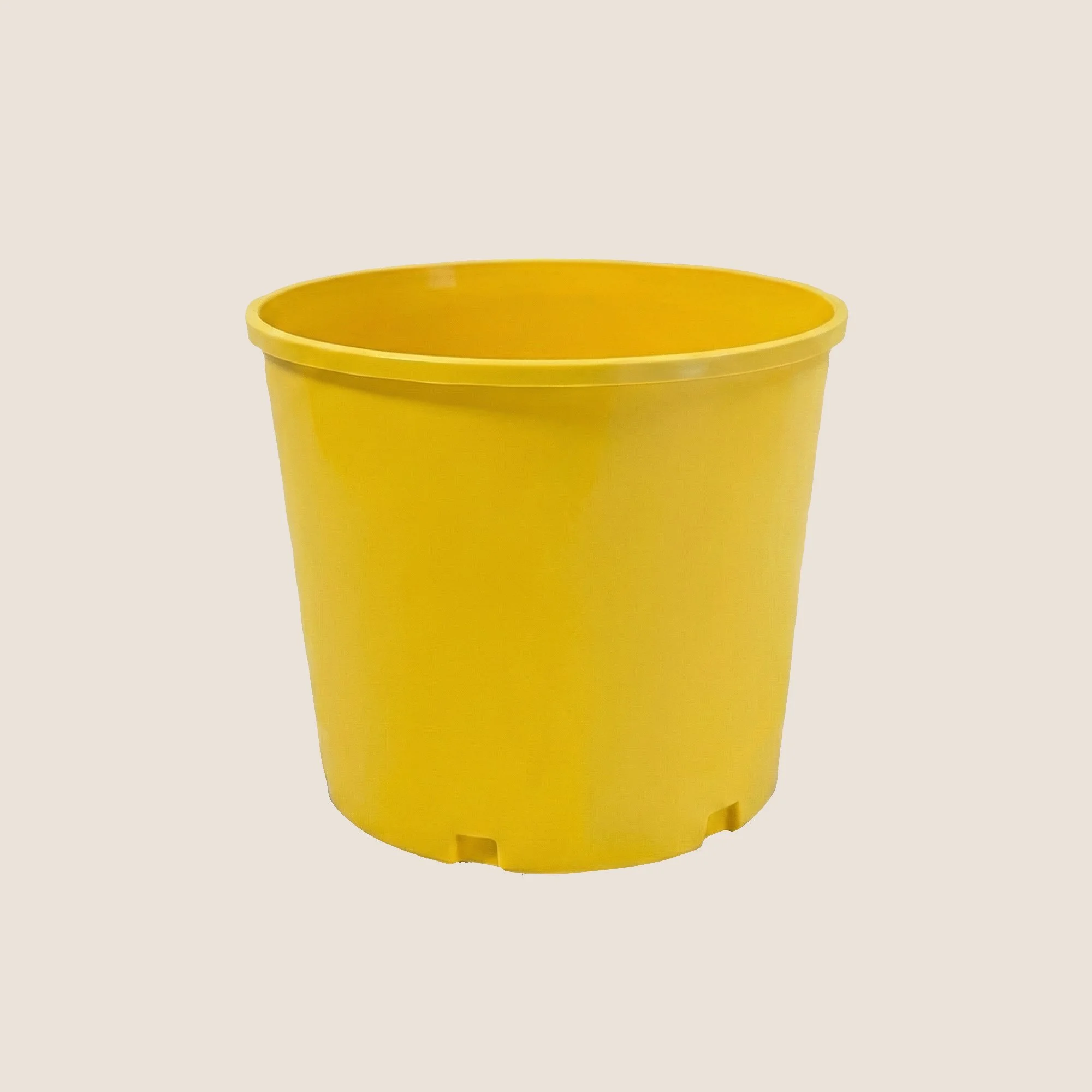 3gal-yellow.jpg