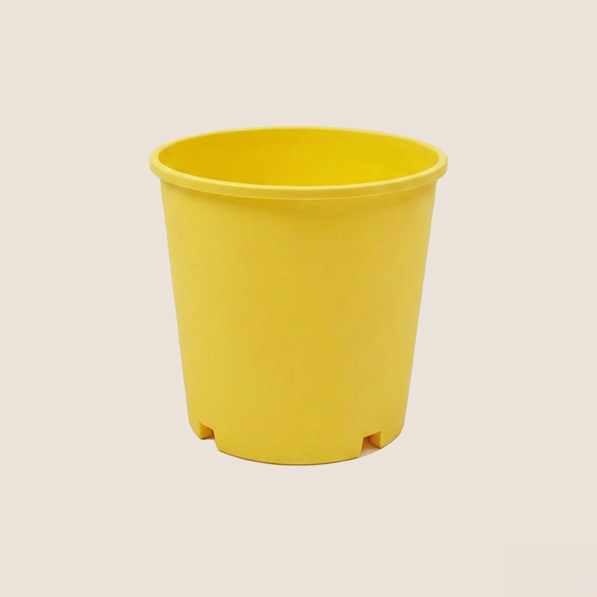 2gal-yellow.jpg