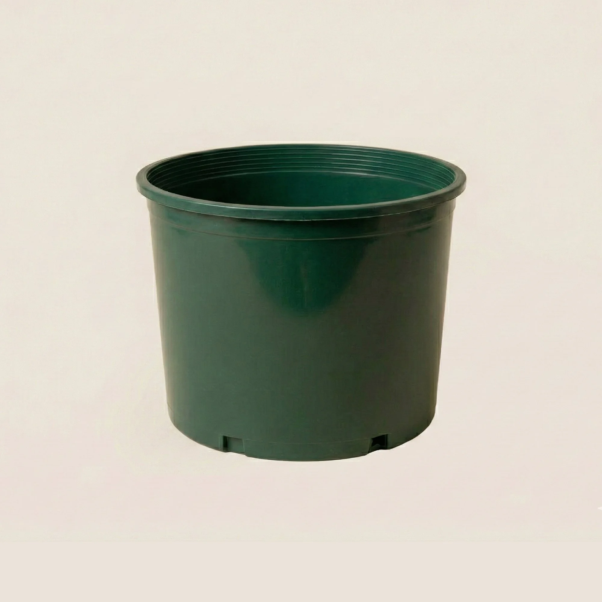 5gal-s-green.jpg