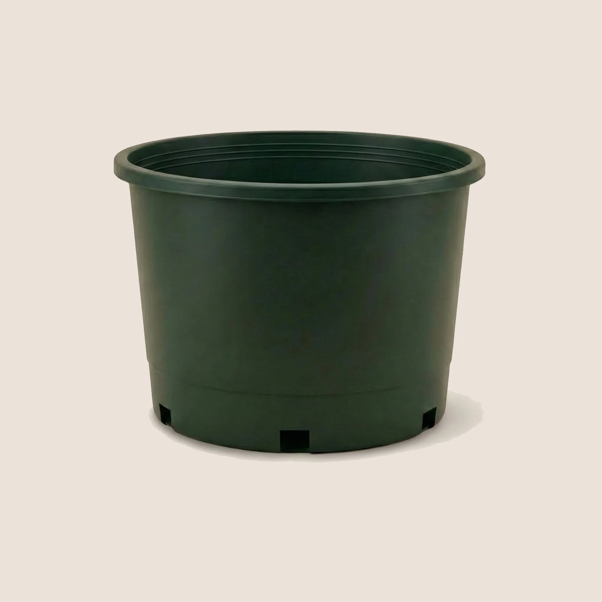 10gal-s-green.png.jpg