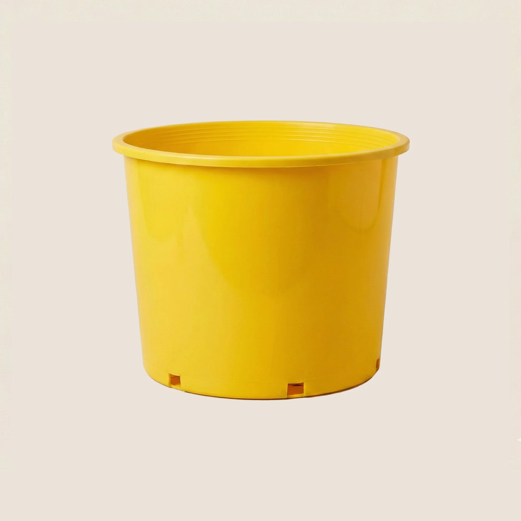 7gal-s-yellow.jpg