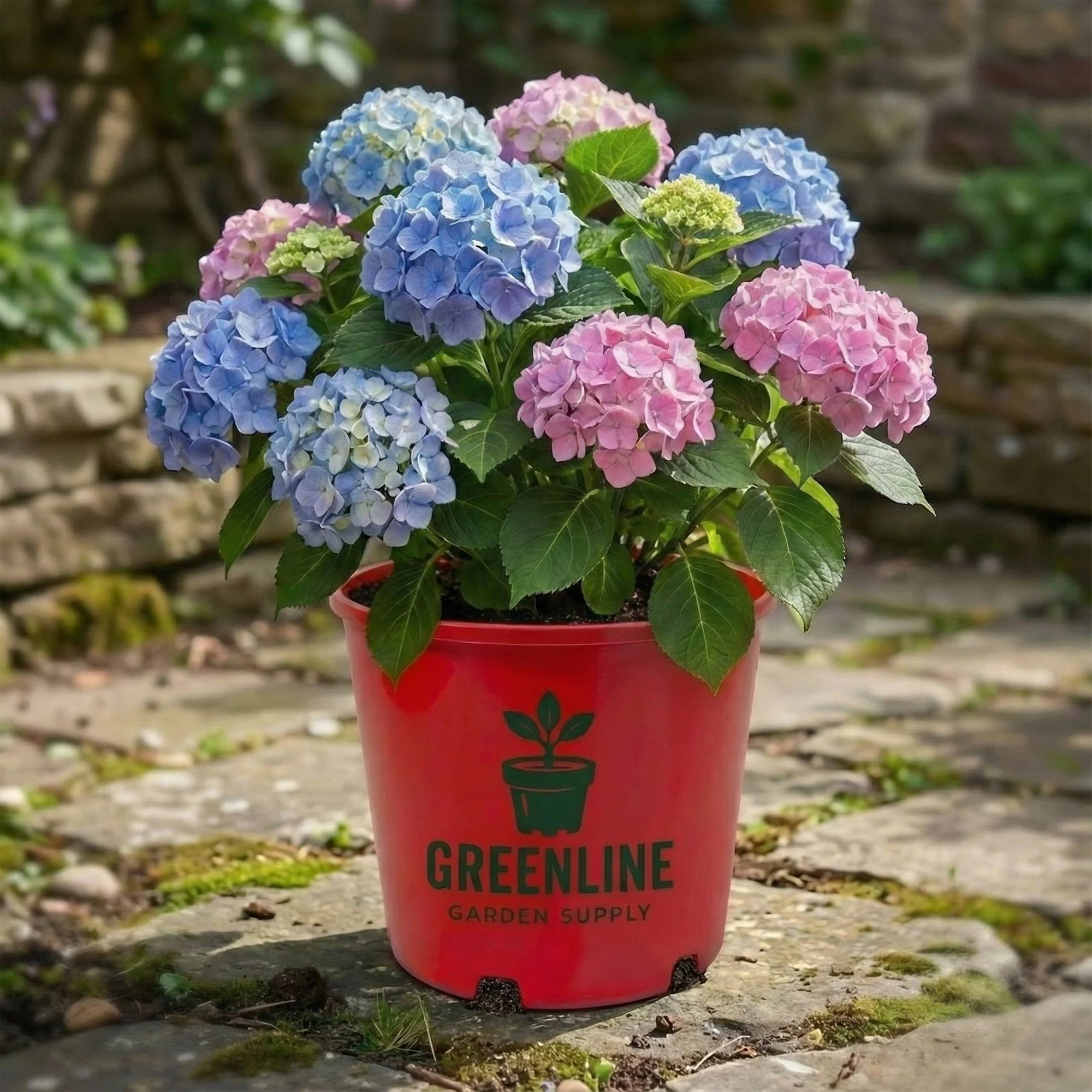greenline garden supply 3gal.jpg