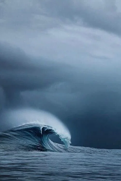 Judgment Is the Real Scarce Asset in Private Equity