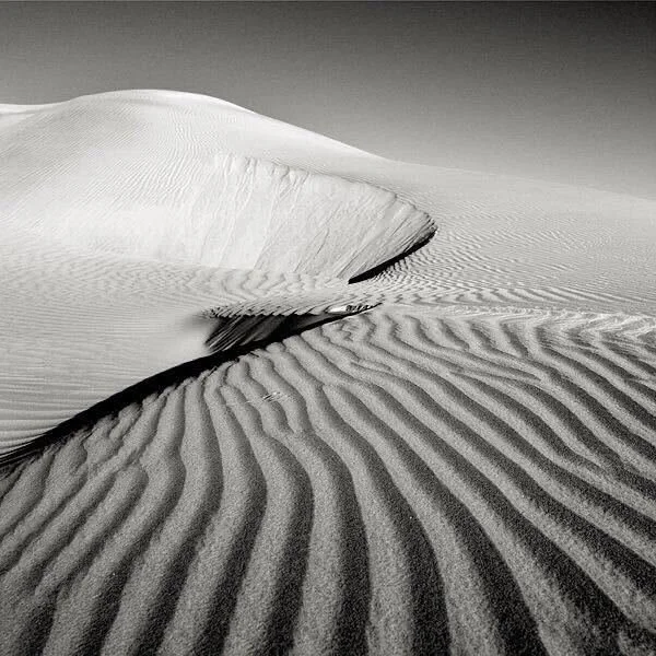 Why Great Investors Plateau at the Partner Level