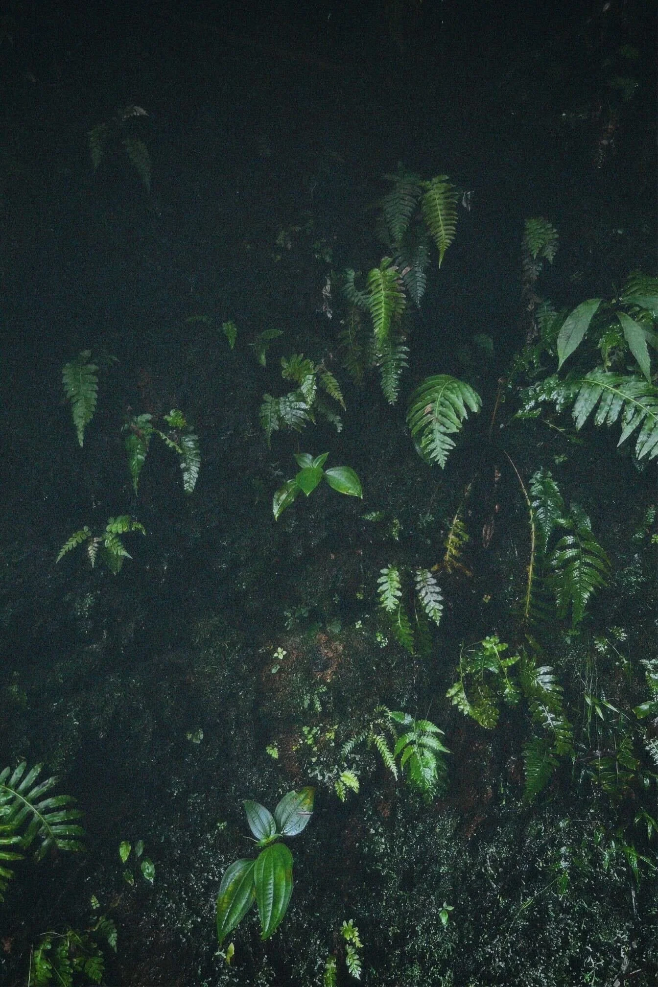 Leadership Team Effectiveness